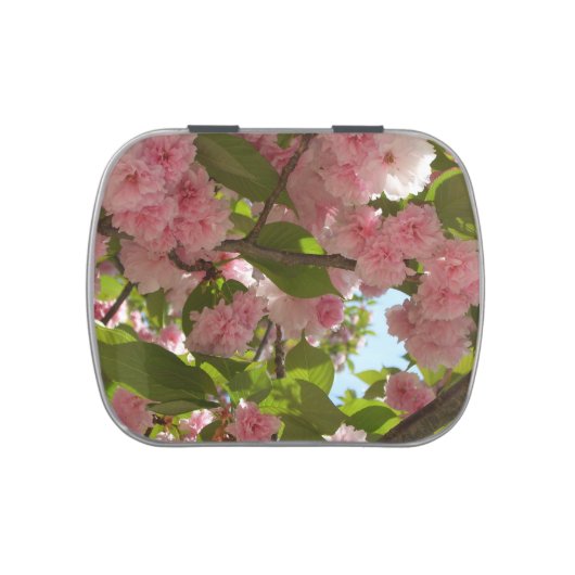 Double Blossoming Cherry Tree III Spring Floral Candy Tin (Top)