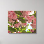 Double Blossoming Cherry Tree III Spring Floral Canvas Print