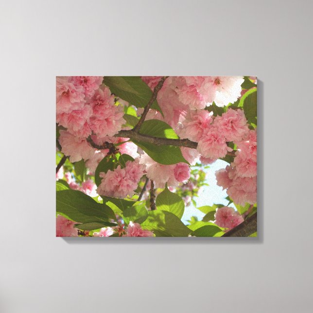 Double Blossoming Cherry Tree III Spring Floral Canvas Print (Front)