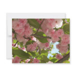 Double Blossoming Cherry Tree III Spring Floral Card