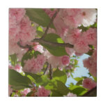 Double Blossoming Cherry Tree III Spring Floral Ceramic Tile