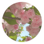Double Blossoming Cherry Tree III Spring Floral Classic Round Sticker