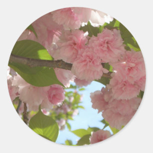 Double Blossoming Cherry Tree III Spring Floral Classic Round Sticker