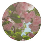 Double Blossoming Cherry Tree III Spring Floral Eraser