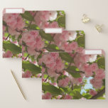 Double Blossoming Cherry Tree III Spring Floral File Folder