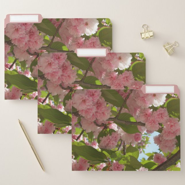 Double Blossoming Cherry Tree III Spring Floral File Folder (Set)