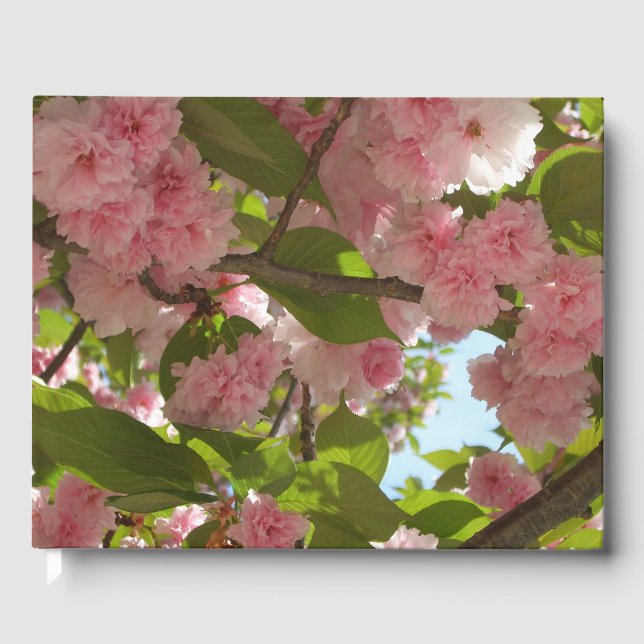 Double Blossoming Cherry Tree III Spring Floral Guest Book (Front)