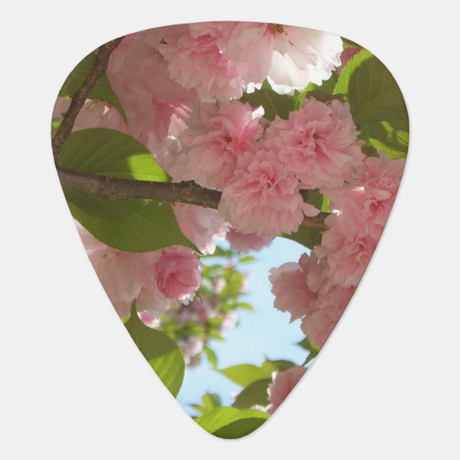 Double Blossoming Cherry Tree III Spring Floral Guitar Pick (Front)