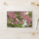 Double Blossoming Cherry Tree III Spring Floral HP Laptop Skin