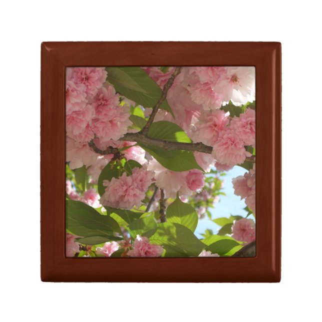 Double Blossoming Cherry Tree III Spring Floral Jewelry Box (Front)