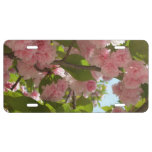 Double Blossoming Cherry Tree III Spring Floral License Plate