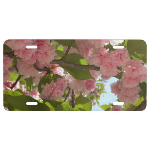 Double Blossoming Cherry Tree III Spring Floral License Plate