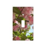 Double Blossoming Cherry Tree III Spring Floral Light Switch Cover