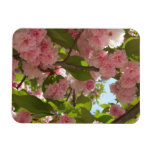 Double Blossoming Cherry Tree III Spring Floral Magnet