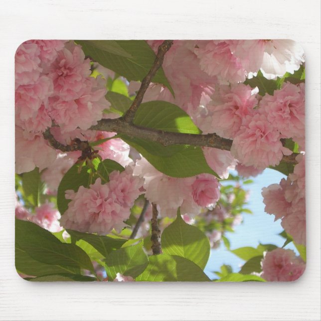 Double Blossoming Cherry Tree III Spring Floral Mouse Pad (Front)