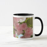 Double Blossoming Cherry Tree III Spring Floral Mug