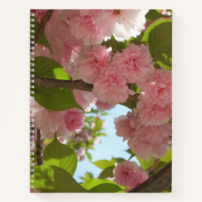 Double Blossoming Cherry Tree III Spring Floral Notebook (Front)