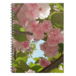 Double Blossoming Cherry Tree III Spring Floral Notebook