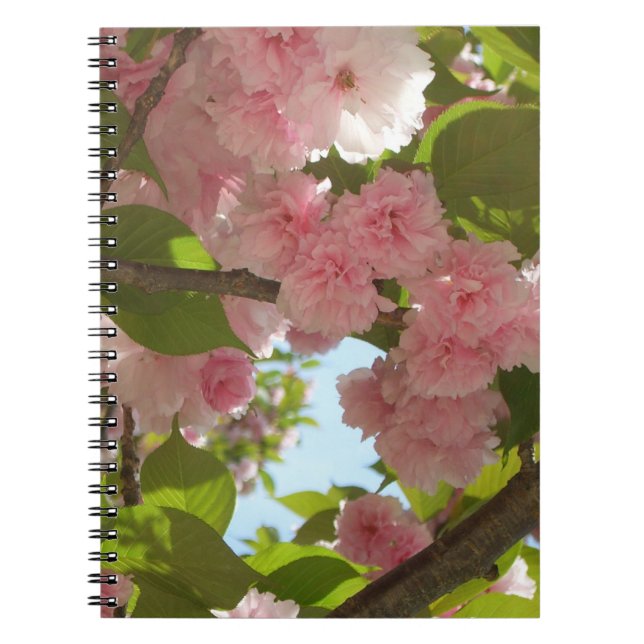 Double Blossoming Cherry Tree III Spring Floral Notebook (Front)