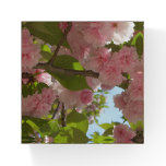 Double Blossoming Cherry Tree III Spring Floral Paperweight