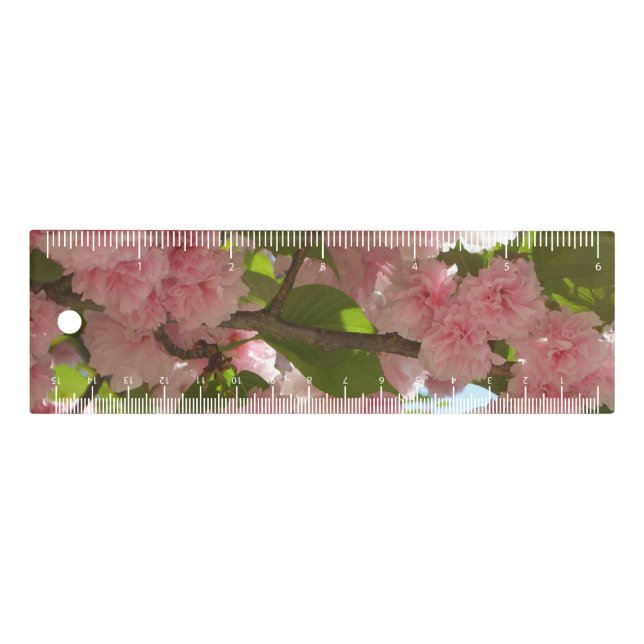 Double Blossoming Cherry Tree III Spring Floral Ruler (Front)