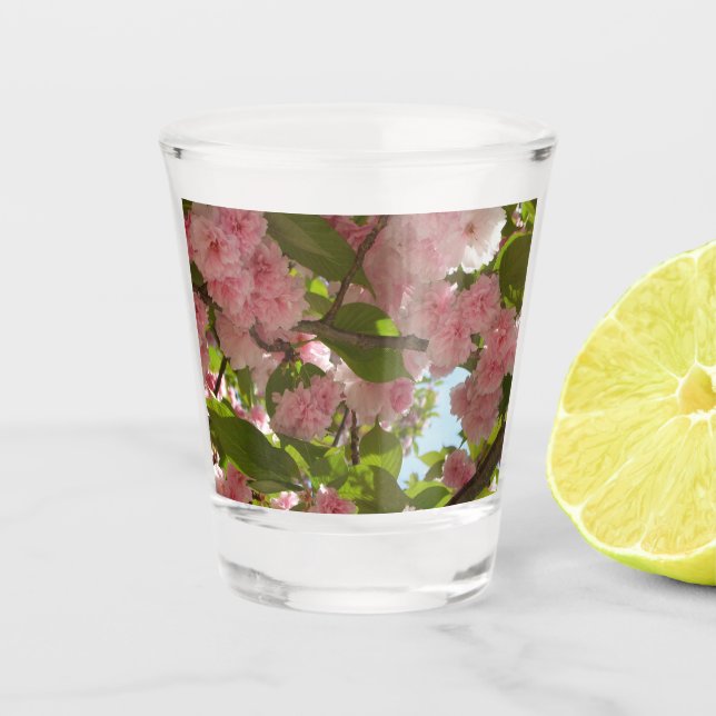 Double Blossoming Cherry Tree III Spring Floral Shot Glass (Front)