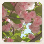 Double Blossoming Cherry Tree III Spring Floral Square Paper Coaster