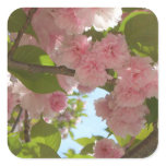 Double Blossoming Cherry Tree III Spring Floral Square Sticker