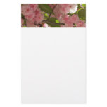 Double Blossoming Cherry Tree III Spring Floral Stationery