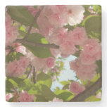 Double Blossoming Cherry Tree III Spring Floral Stone Coaster