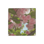Double Blossoming Cherry Tree III Spring Floral Stone Magnet