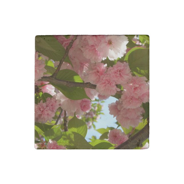 Double Blossoming Cherry Tree III Spring Floral Stone Magnet (Front)