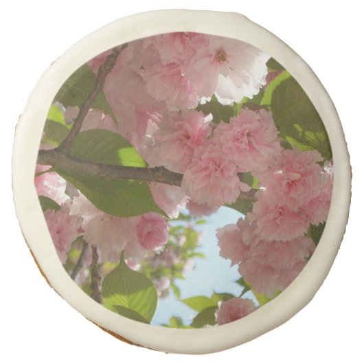 Double Blossoming Cherry Tree III Spring Floral Sugar Cookie (Front)