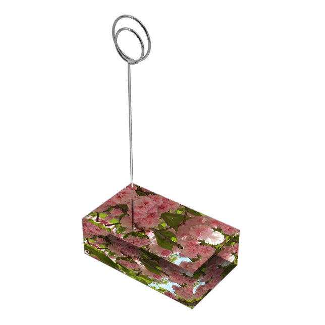 Double Blossoming Cherry Tree III Spring Floral Table Number Holder (Corner)