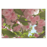 Double Blossoming Cherry Tree III Spring Floral Tissue Paper