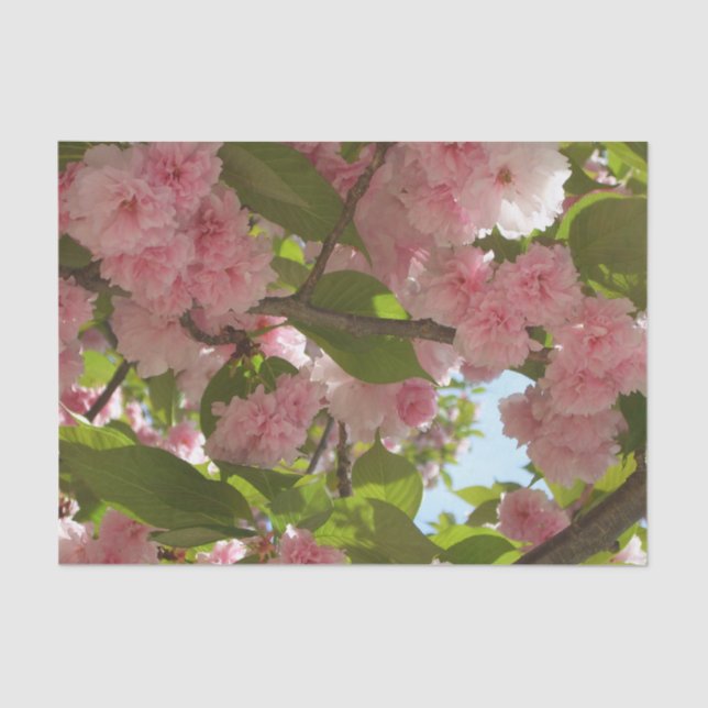 Double Blossoming Cherry Tree III Spring Floral Tissue Paper (Front)