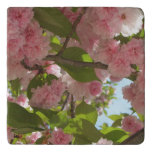 Double Blossoming Cherry Tree III Spring Floral Trivet