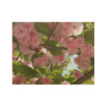 Double Blossoming Cherry Tree III Spring Floral Wood Poster