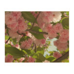 Double Blossoming Cherry Tree III Spring Floral Wood Wall Art