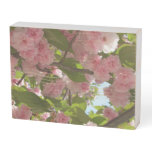 Double Blossoming Cherry Tree III Spring Floral Wooden Box Sign