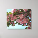 Double Blossoming Cherry Tree IV Spring Canvas Print