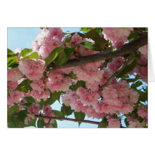 Double Blossoming Cherry Tree IV Spring Cards