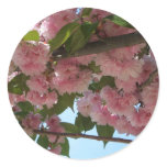 Double Blossoming Cherry Tree IV Spring Classic Round Sticker