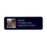 Double Blossoming Cherry Tree IV Spring Label