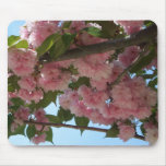 Double Blossoming Cherry Tree IV Spring Mouse Pad