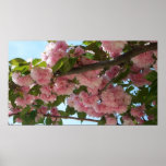 Double Blossoming Cherry Tree IV Spring Poster