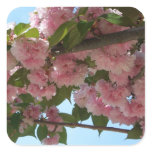 Double Blossoming Cherry Tree IV Spring Square Sticker