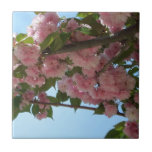 Double Blossoming Cherry Tree IV Spring Tile