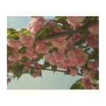 Double Blossoming Cherry Tree IV Spring Wood Wall Art