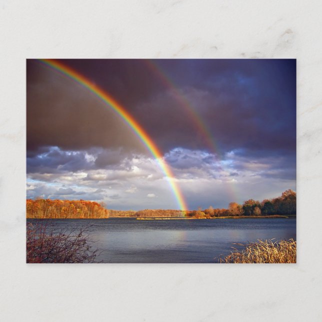 Double Bows Postcard (Front)